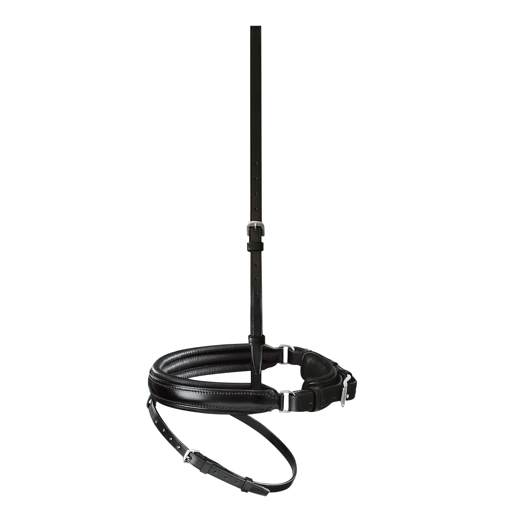 Passier anatomically formed caveson special with flash strap