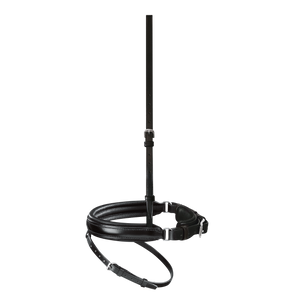 Passier anatomically formed caveson special with flash strap