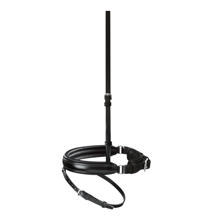 Passier anatomically formed caveson special with flash strap