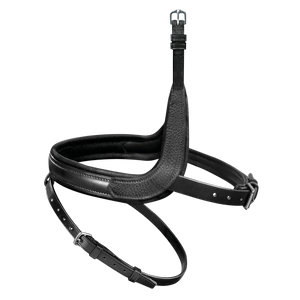 Passier exchangeable noseband with more room for the cheekbone with application