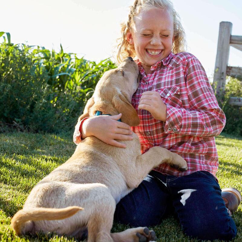 Ariat entwined boot cut jeans for kids