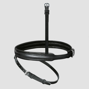 Passier exchangeable flash noseband