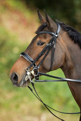HFI weymouth bridle - HorseworldEU