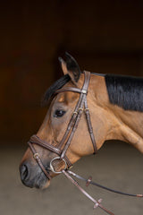 HFI wavy bridle - HorseworldEU
