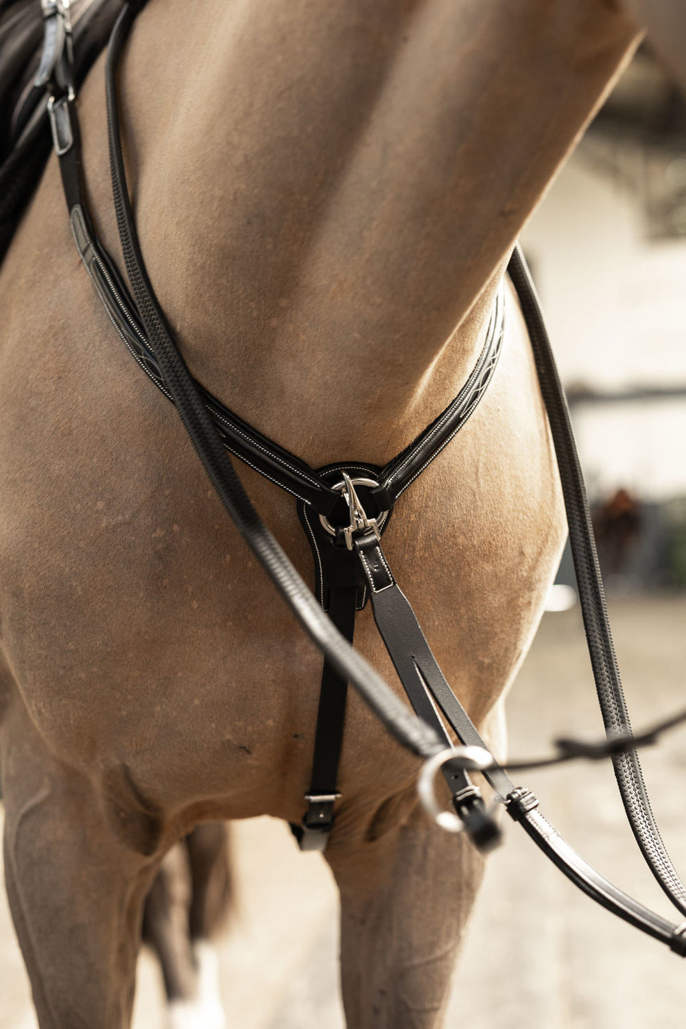HFI pro breastplate Arezzo