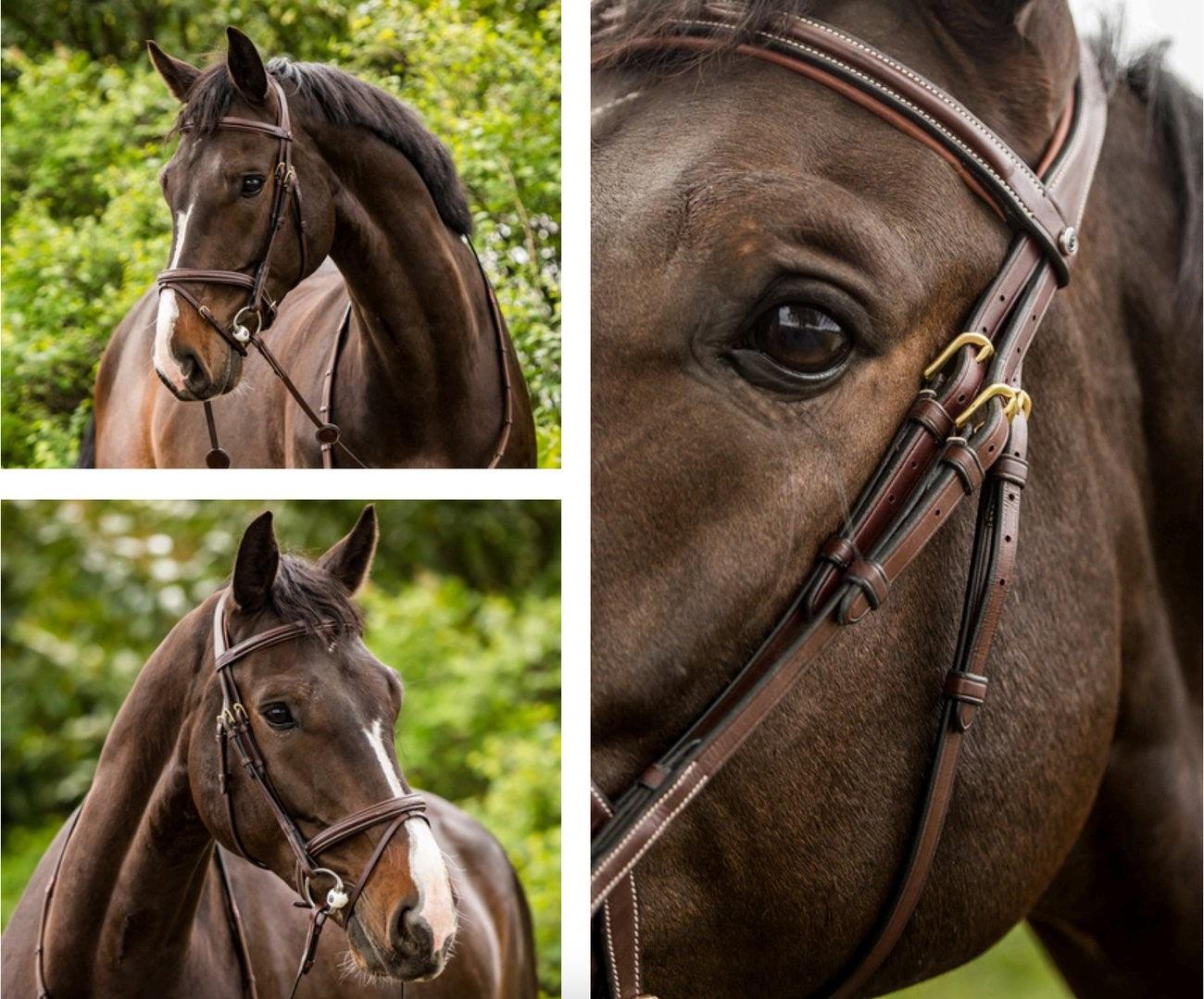 Trust Calgary Combined noseband bridle