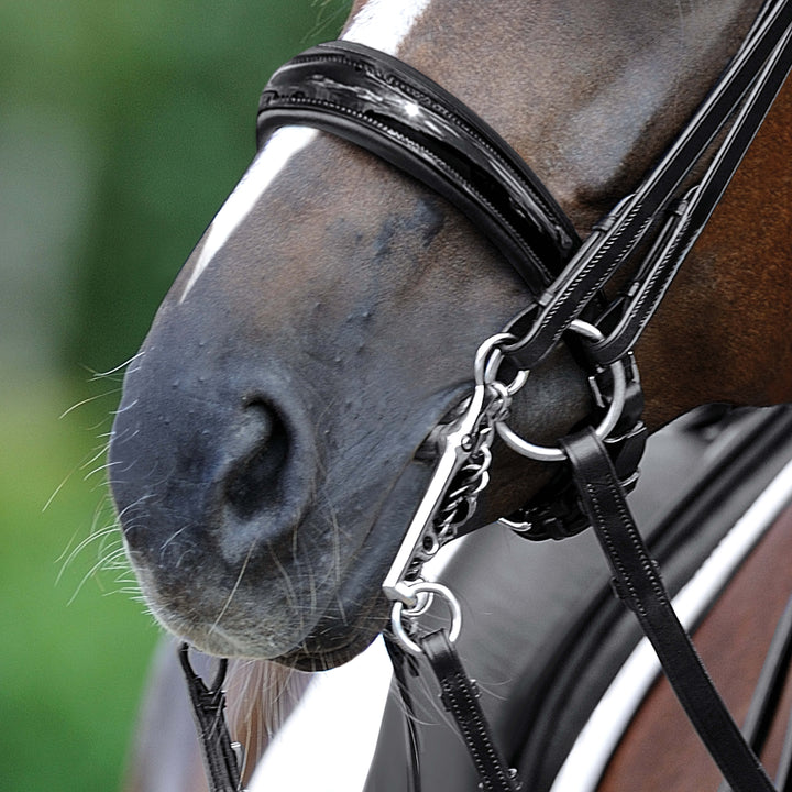 Passier exchangeable anatomically formed caveson with patent leather trim