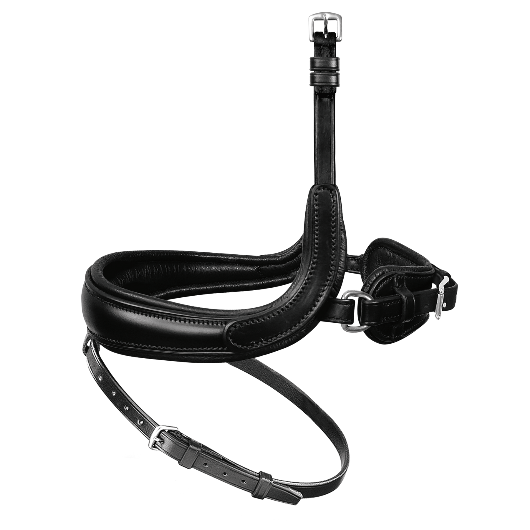 Passier exchangeable noseband with more room for the cheekbone