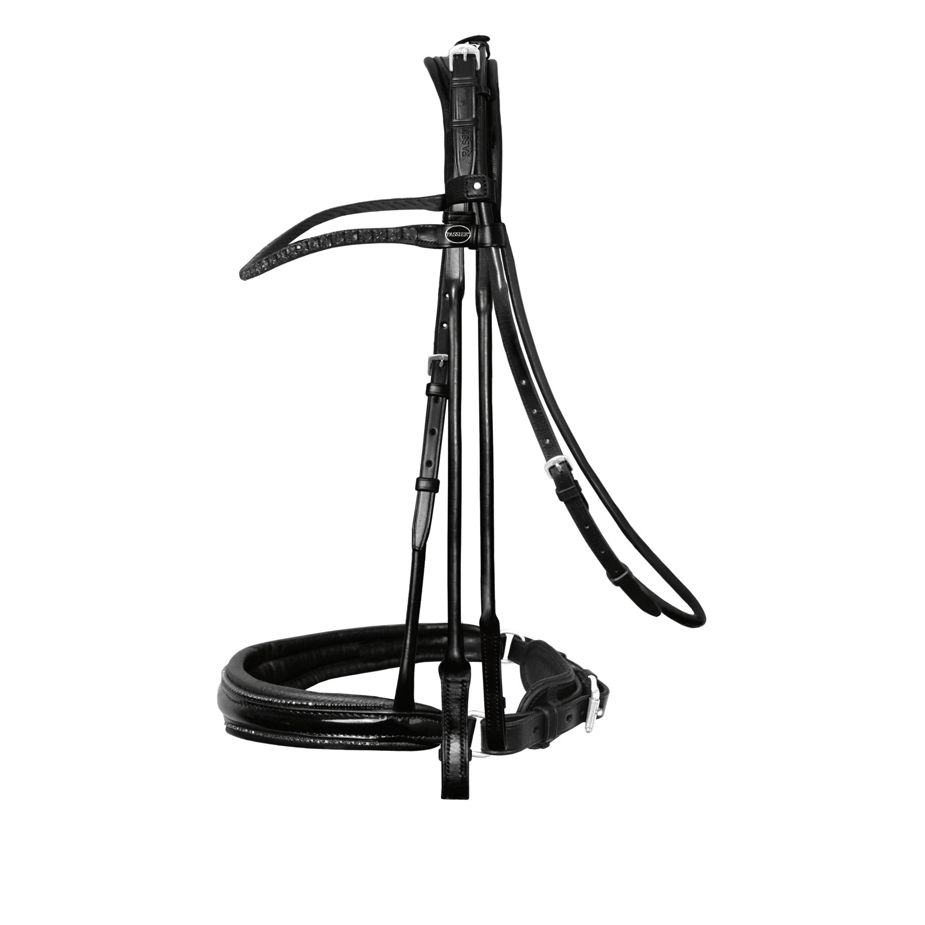 Passier highscore double bridle