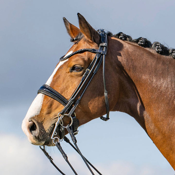 Passier highscore double bridle