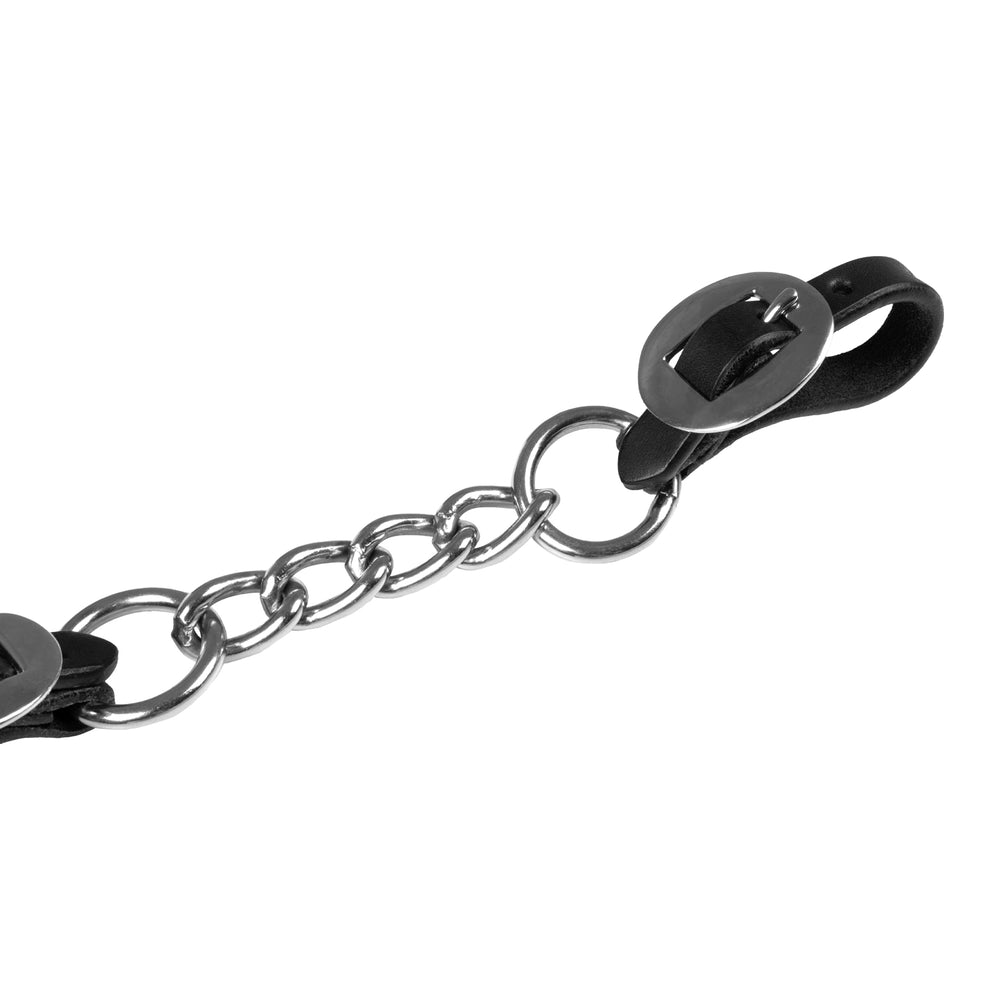 Lakota curb strap nickle fitting