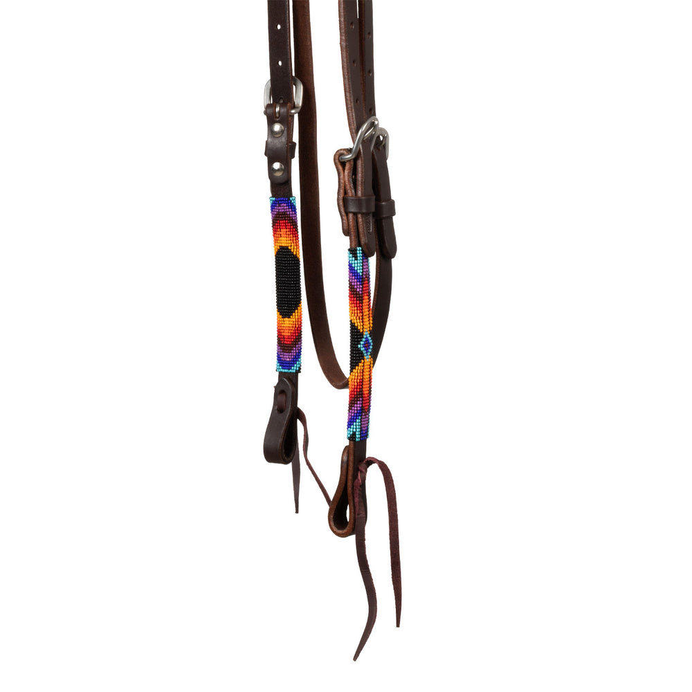 Pool's serape beaded oiled western bridle