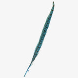 American hat makers ringneck vivid hat feather