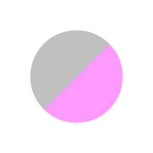 Tech stirrups endurance Venice Xtrail