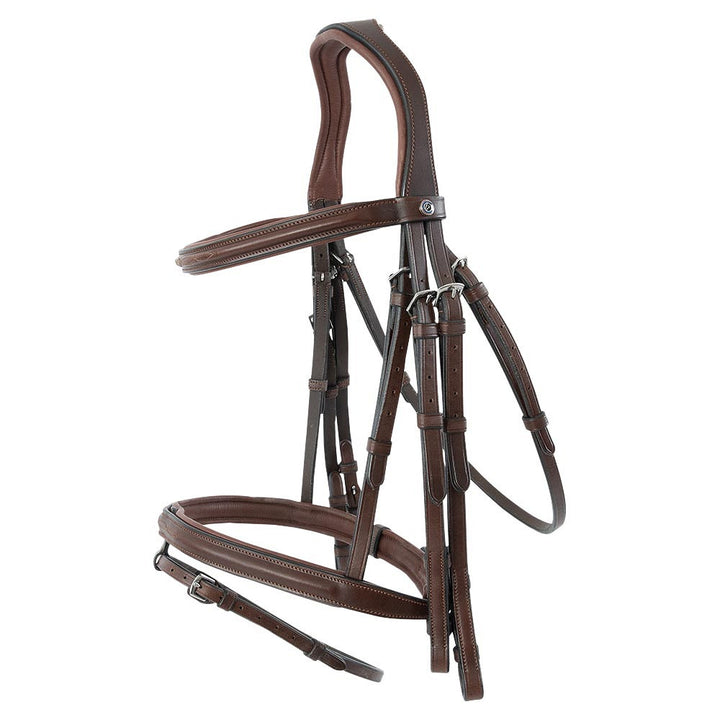Trust Abu Dhabi bridle