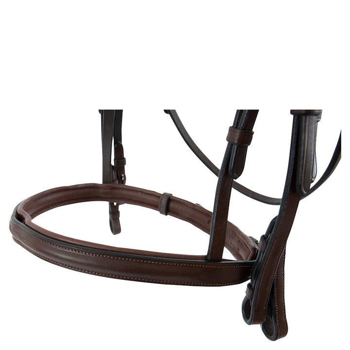 Trust Abu Dhabi bridle