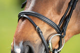 HFI comfort bridle - HorseworldEU