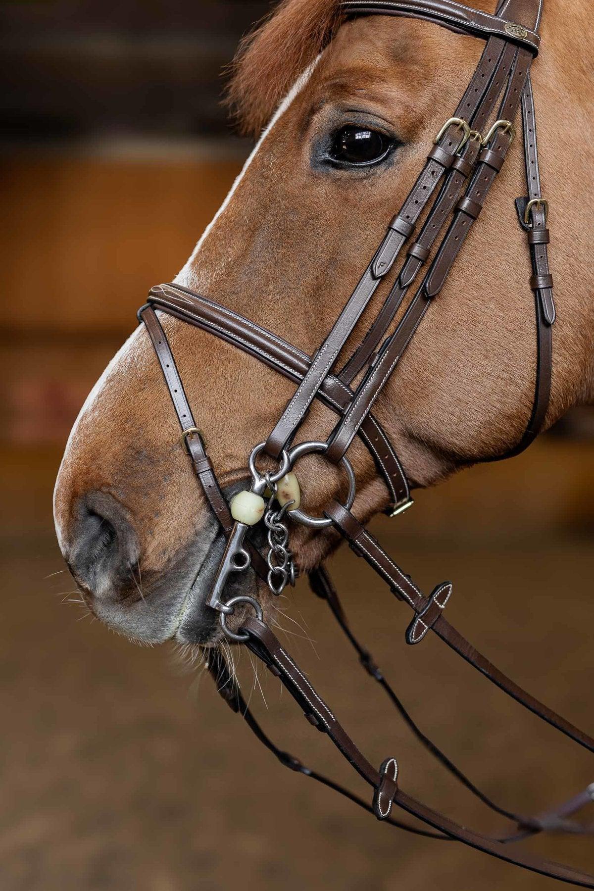 HFI double jump bridle - HorseworldEU