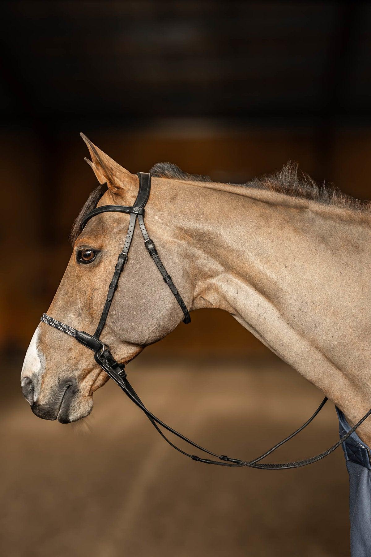 HFI freedom bitless bridle - HorseworldEU