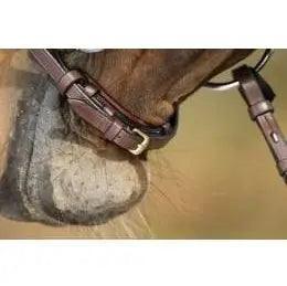 HFI German bridle HFI