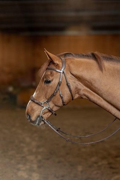 HFI hackamore bridle - HorseworldEU