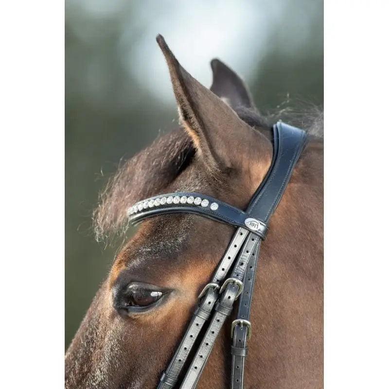 HFI shiny bridle HFI