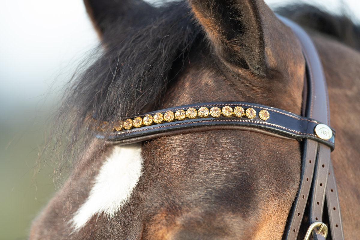 HFI shiny bridle - HorseworldEU