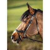 HFI techno bridle HFI