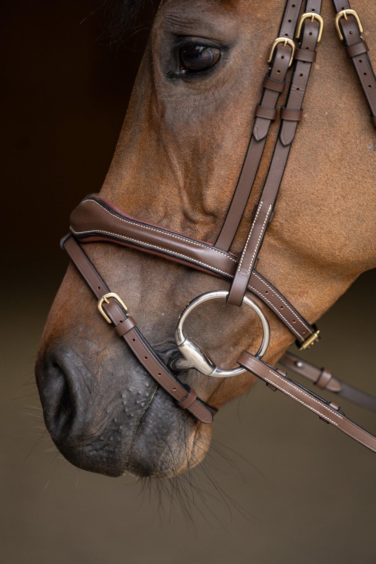 HFI wavy bridle - HorseworldEU