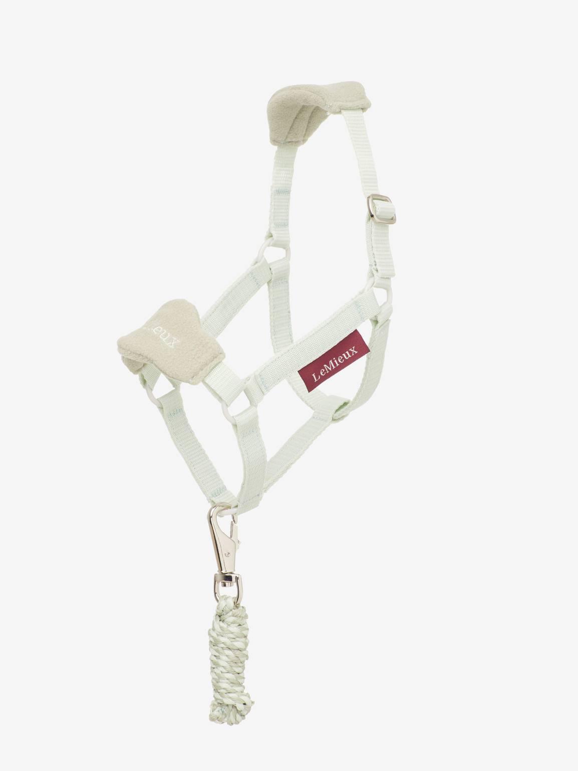 LeMieux hobby horse headcollar - HorseworldEU