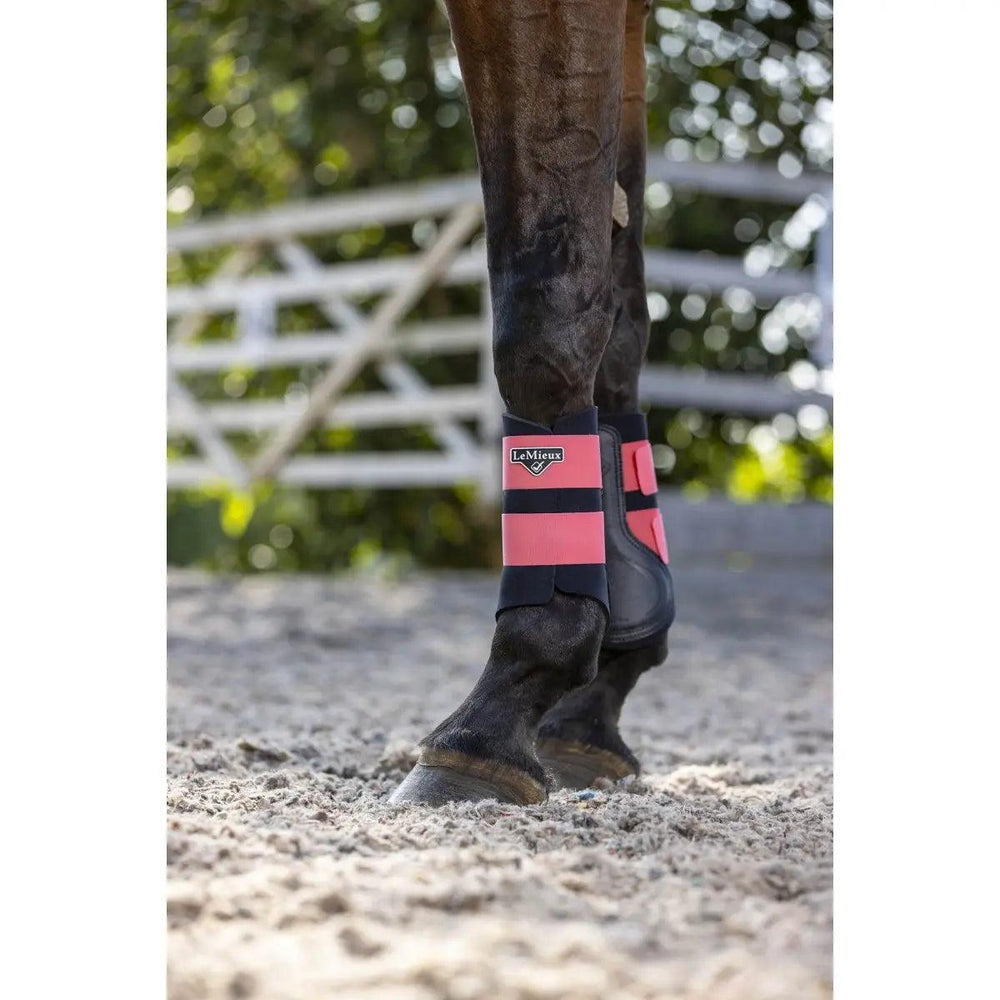 LeMieux grafter brushing boots Lemieux