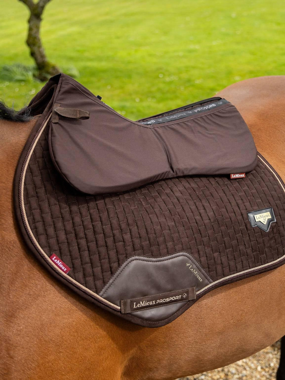 LeMieux ProSorb Plain 2 Pocket Half Pad - HorseworldEU