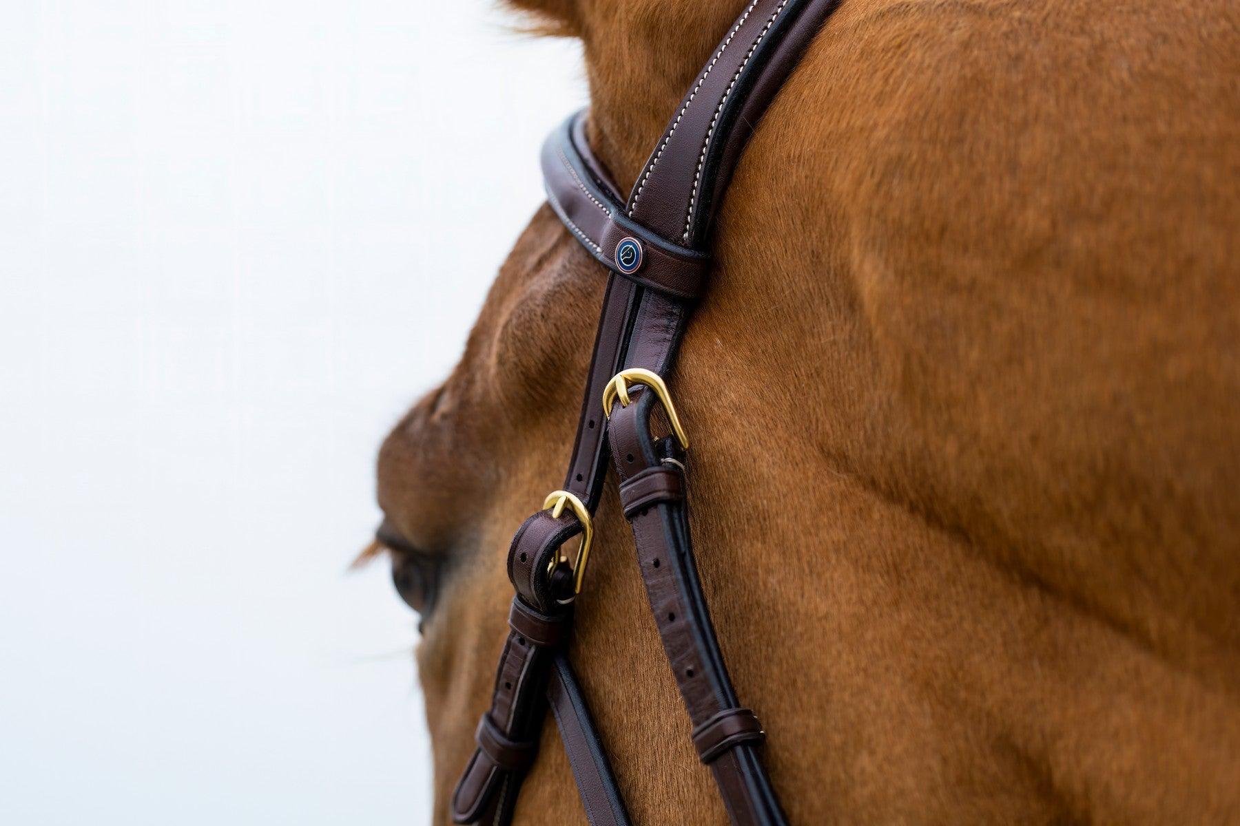 Trust Hickstead Hackamore bridle - HorseworldEU