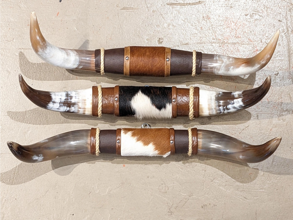 Small bull horns