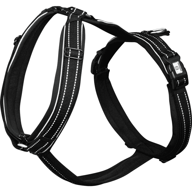 Herm. Sprenger foal harness