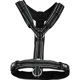 Herm. Sprenger foal harness