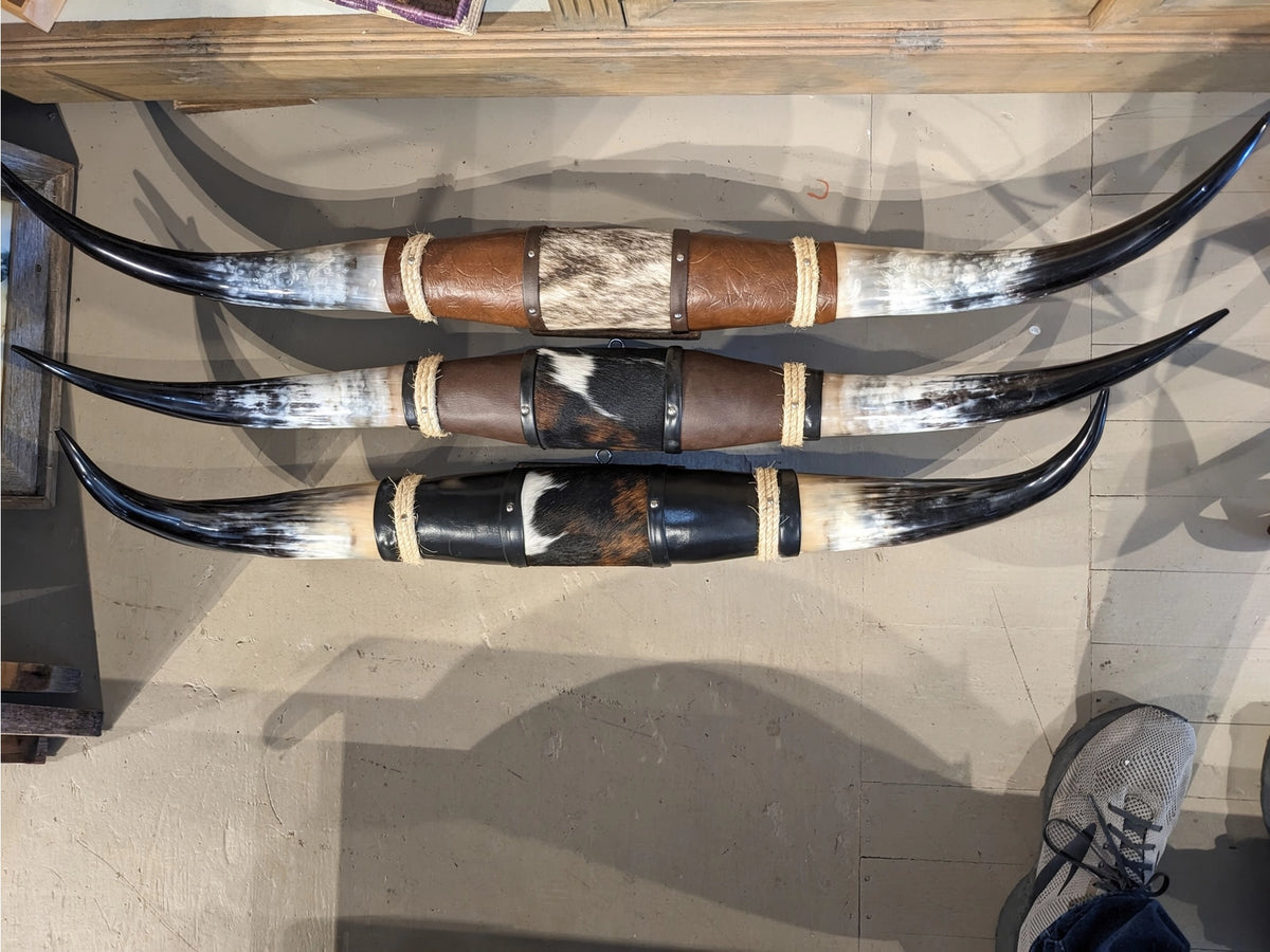 Cornes de taureau de 90 à 120 cm