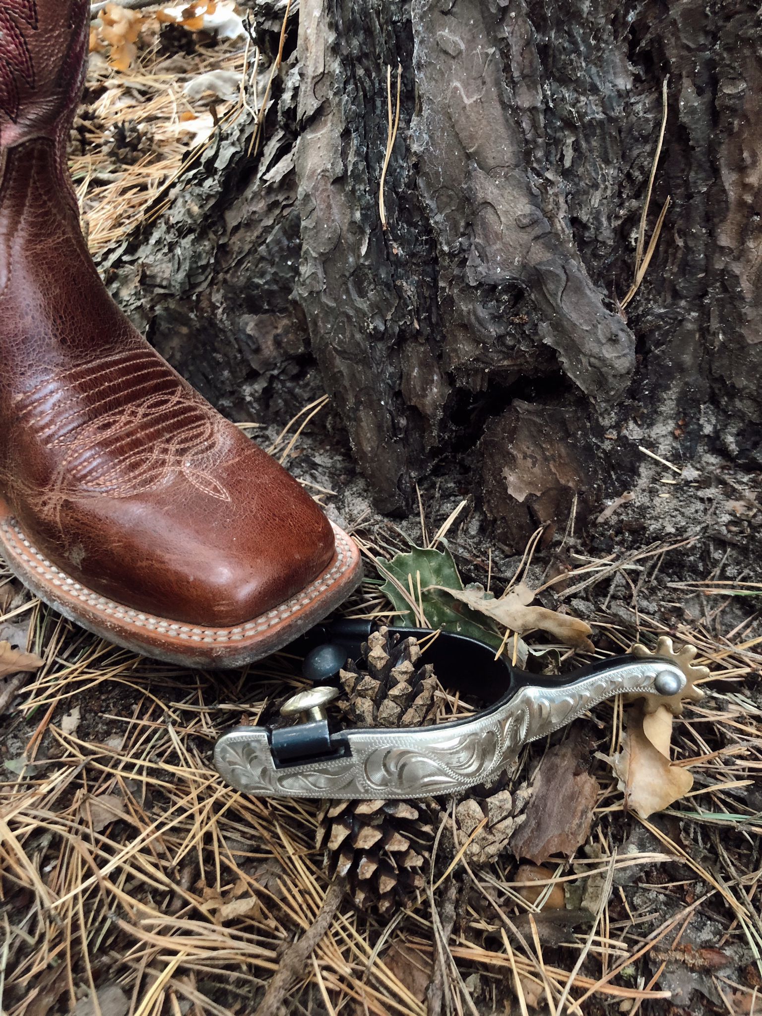 Lakota western spurs silver black SR00221