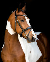 Fair Bridle w. Anatomic Neckpiece - Black