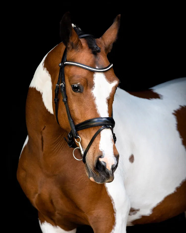 Fair Bridle w. Anatomic Neckpiece - Black