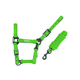 Pool's Nylonhalfter CA00027K