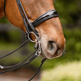 Herm. Sprenger WH ultra bradoon 40226