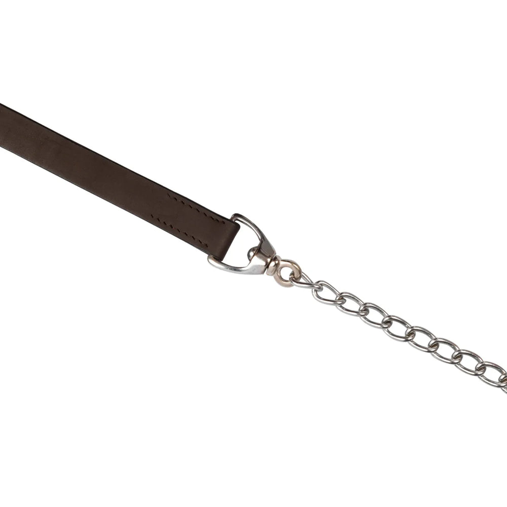 Laisse en cuir de Pool's avec chaîne PL6190