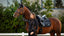 LeMieux adour dressage square - HorseworldEU