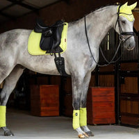 LeMieux luxury suede dressage saddle pad Lemieux