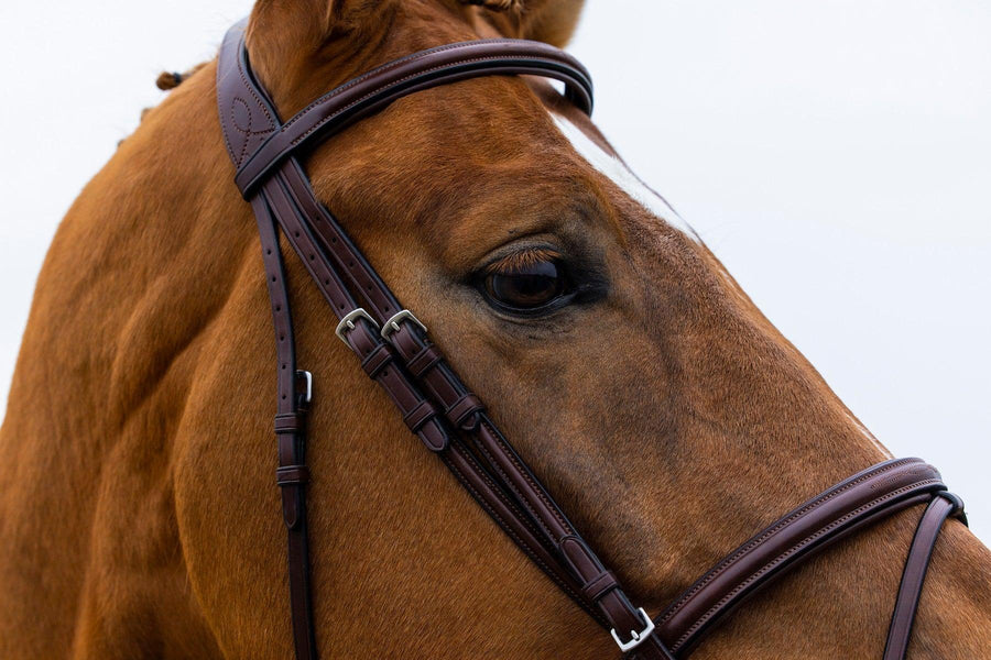 Trust Knokke Combined noseband bridle - HorseworldEU